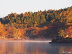 撮って出し-E-M5-135.0-22_10_30-0