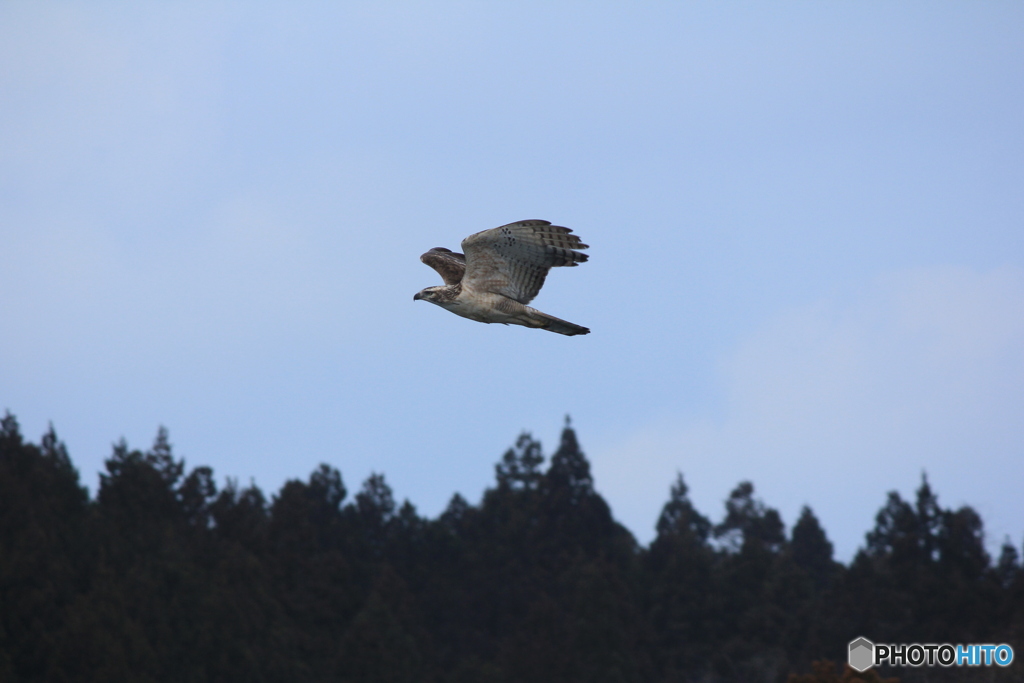 撮って出し(2025-02-26_09-23)-(Canon EOS 60D-2