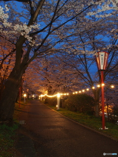 撮って出し(2025-04-17_18-34)-(E-M5-14(OLYMPUS