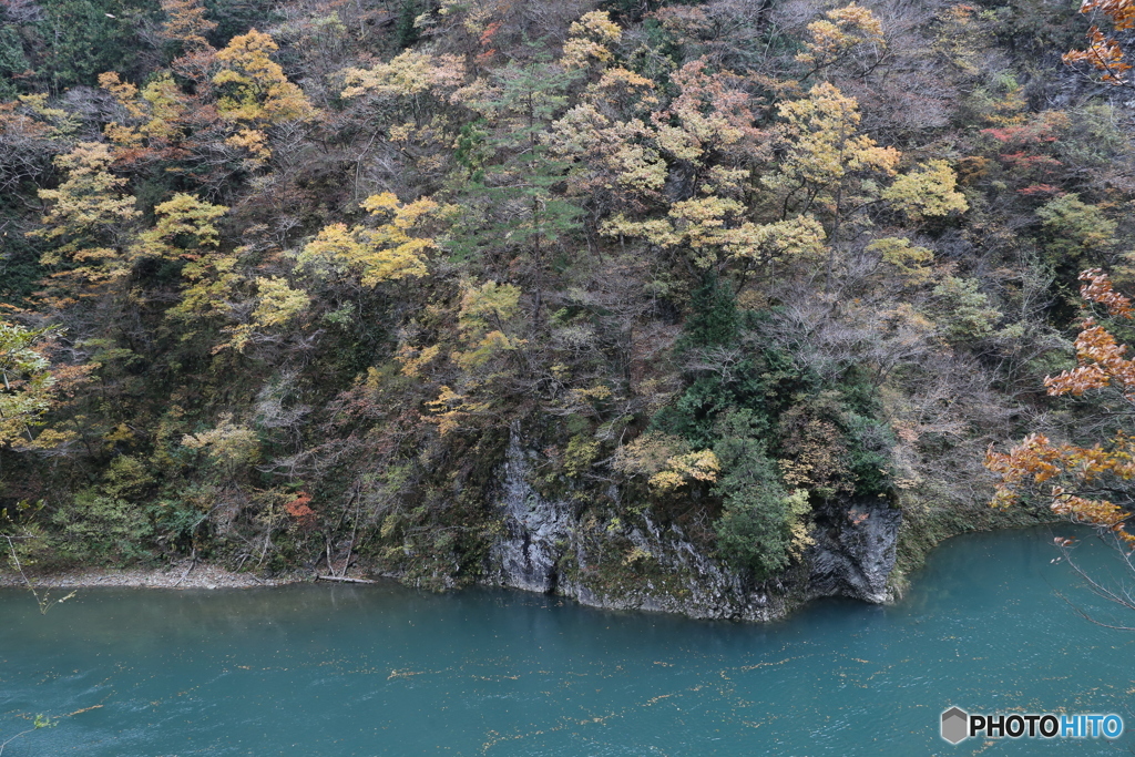 撮って出し(2025-11-07_12-43)-(Canon EOS 6D-28