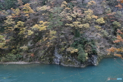 撮って出し(2025-11-07_12-43)-(Canon EOS 6D-28