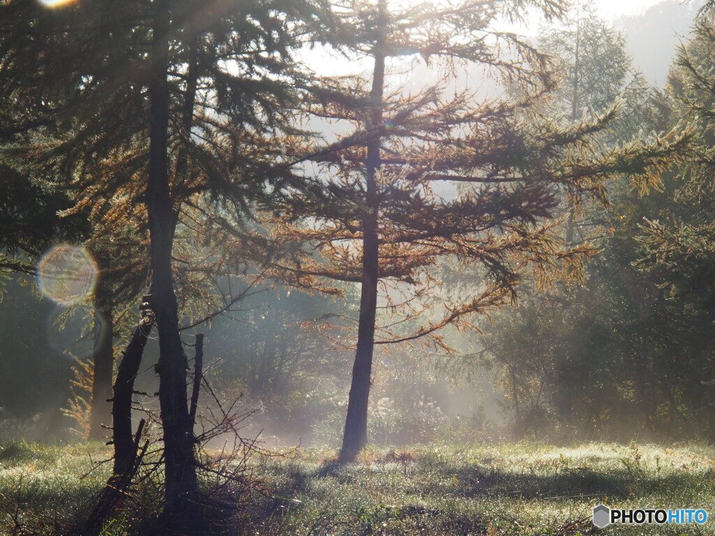 撮って出し-E-M5-60.0-22_10_30-0