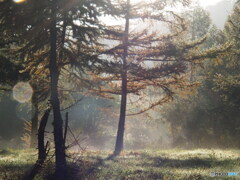 撮って出し-E-M5-60.0-22_10_30-0