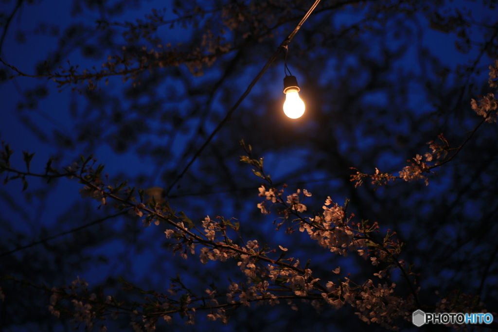 撮って出し-Canon EOS 6D-90.0-41_04_13-14