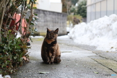 撮って出し-Canon EOS 6D-90.0-41_02_18-6