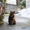 撮って出し-Canon EOS 6D-90.0-41_02_18-6