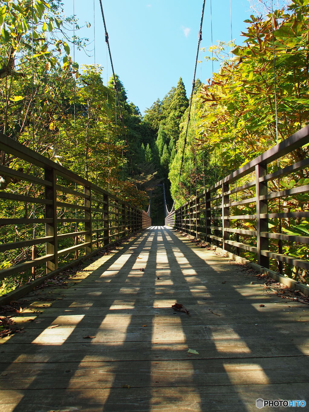 撮って出し-E-M5-14.0-22_10_25-1