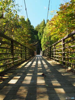 撮って出し-E-M5-14.0-22_10_25-1