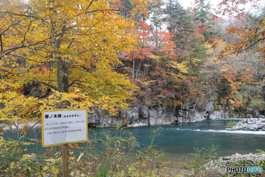 撮って出し(2025-11-04_13-00)-(Canon EOS 6D-28