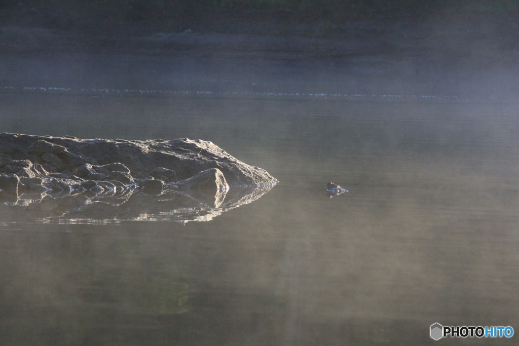 撮って出し-Canon EOS 60D-250.0-22_10_31-0