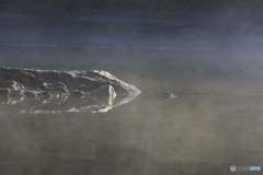 撮って出し-Canon EOS 60D-250.0-22_10_31-0