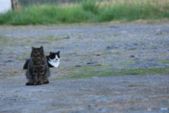 撮って出し(2024-04-22_18-07)-(Canon EOS 60D-2