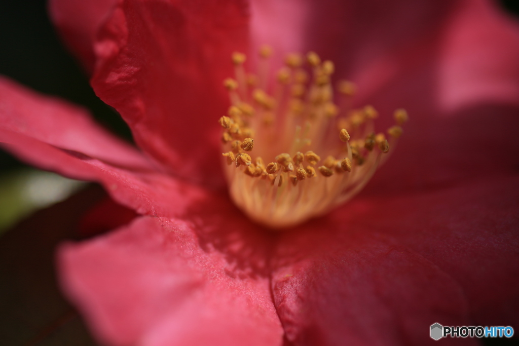 撮って出し(2024-03-31_10-10)-(Canon EOS 6D-90