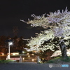 撮って出し(2024-04-17_19-45)-(Canon EOS 6D-35