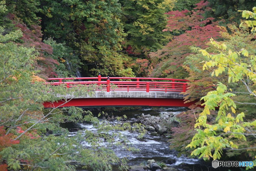 撮って出し(2025-10-27_11-31)-(Canon EOS 6D-13