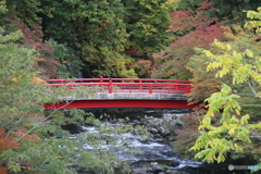 撮って出し(2025-10-27_11-31)-(Canon EOS 6D-13