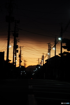 撮って出し(2024-08-16_04-51)-(NIKON D200-116(