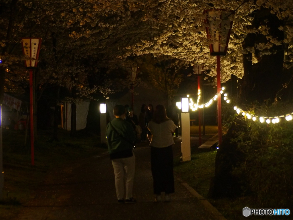 撮って出し(2025-04-18_18-49)-(E-M5-0())