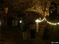 撮って出し(2025-04-18_18-49)-(E-M5-0())