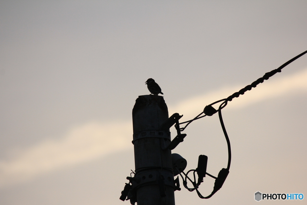 撮って出し(2024-04-23_18-12)-(Canon EOS 60D-2