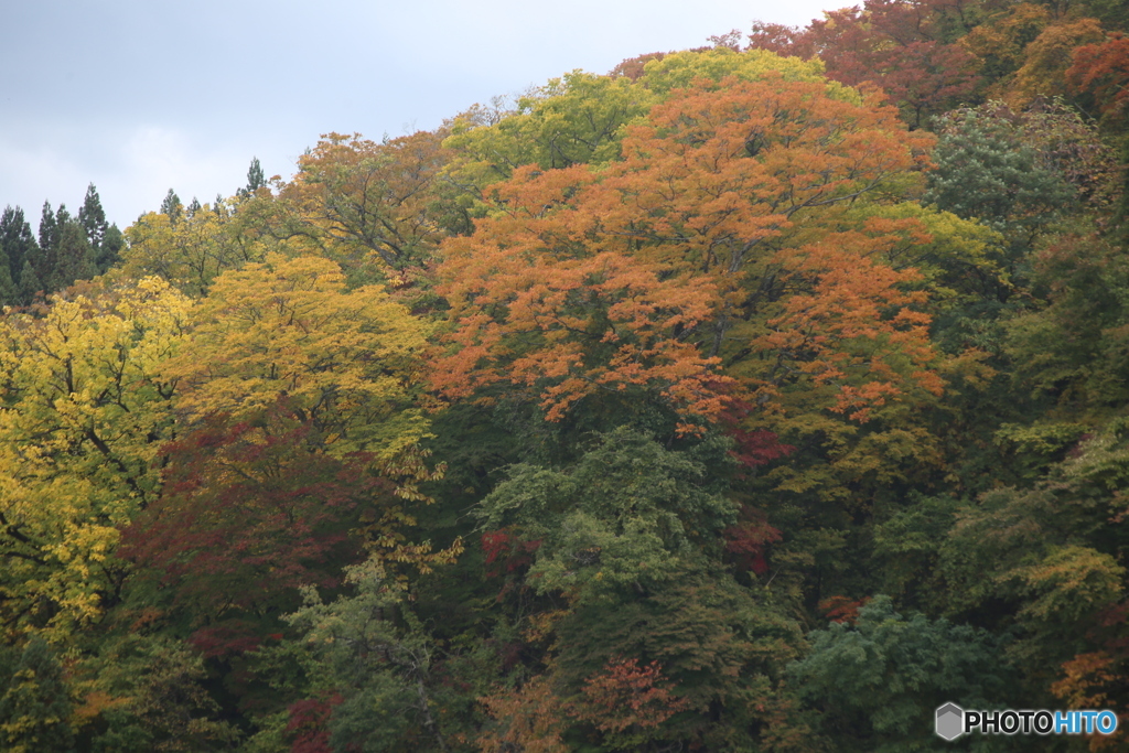 撮って出し(2025-10-27_11-31)-(Canon EOS 6D-19