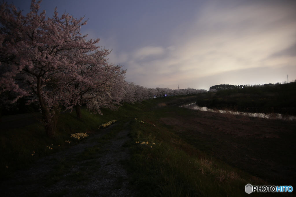 撮って出し(2024-04-18_19-13)-(Canon EOS 6D-0(