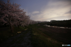 撮って出し(2024-04-18_19-13)-(Canon EOS 6D-0(