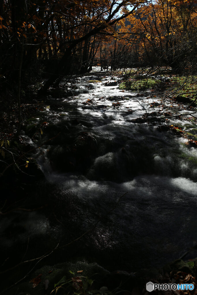 撮って出し(2025-11-04_10-19)-(Canon EOS 6D-24