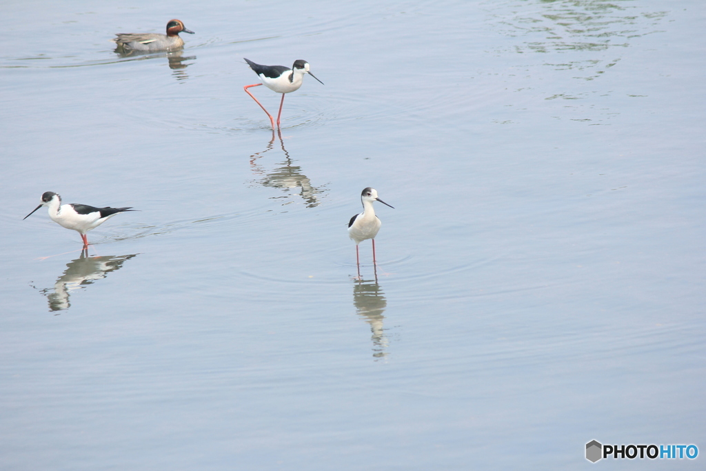 撮って出し(2025-04-27_12-25)-(Canon EOS 60D-2