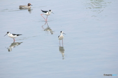 撮って出し(2025-04-27_12-25)-(Canon EOS 60D-2