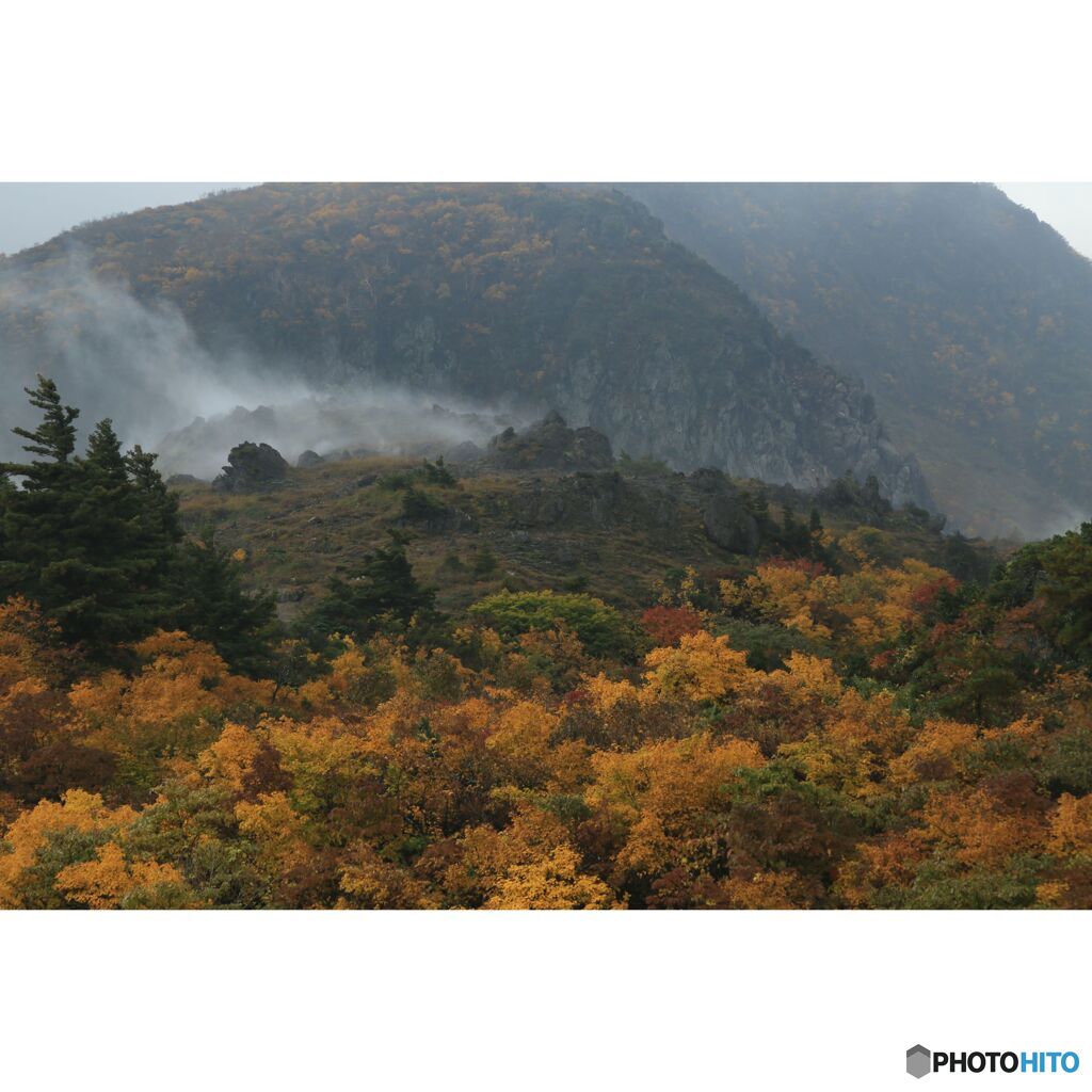 撮って出し(2023-10-16_10-09-56)-EF28-135mm f-