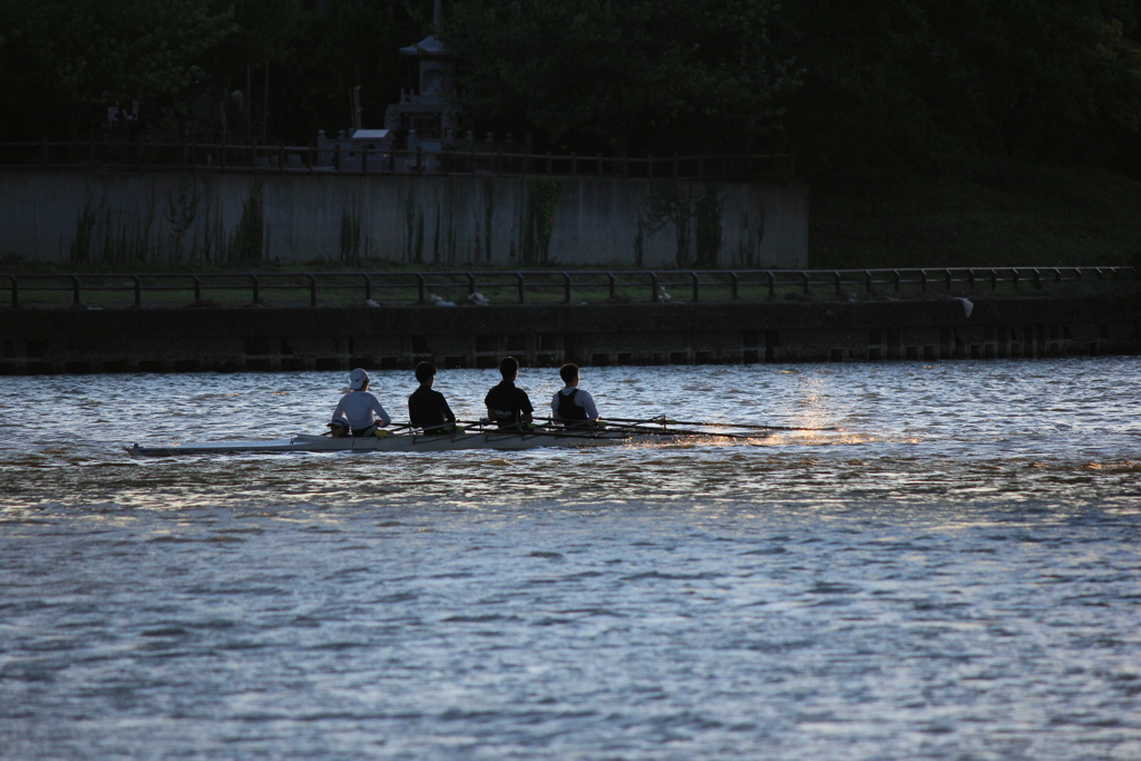 撮って出し(2024-09-24_17-12)-(Canon EOS 60D-2