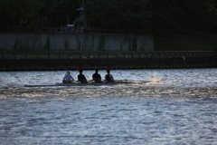 撮って出し(2024-09-24_17-12)-(Canon EOS 60D-2