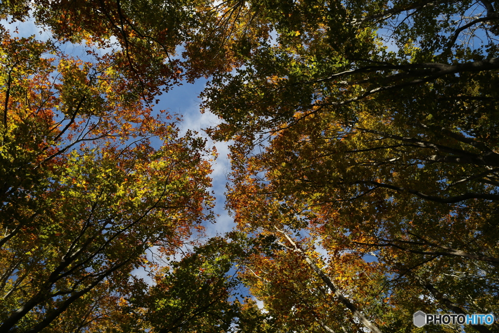 撮って出し(2025-10-27_09-39)-(Canon EOS 6D-28