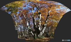 パノラマ合成　2025-11-04_08-54)(Canon EOS