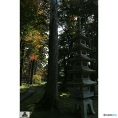 撮って出し(2023-11-03_10-53)-28-EF28-135mm f-