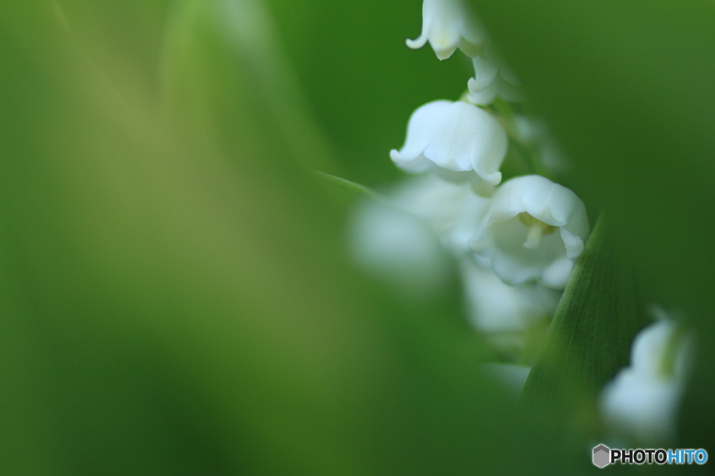 撮って出し-Canon EOS 60D-90.0-23_05_12-11