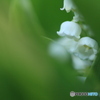 撮って出し-Canon EOS 60D-90.0-23_05_12-11