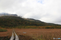 撮って出し(2024-10-12_11-40)-(Canon EOS 60D-2