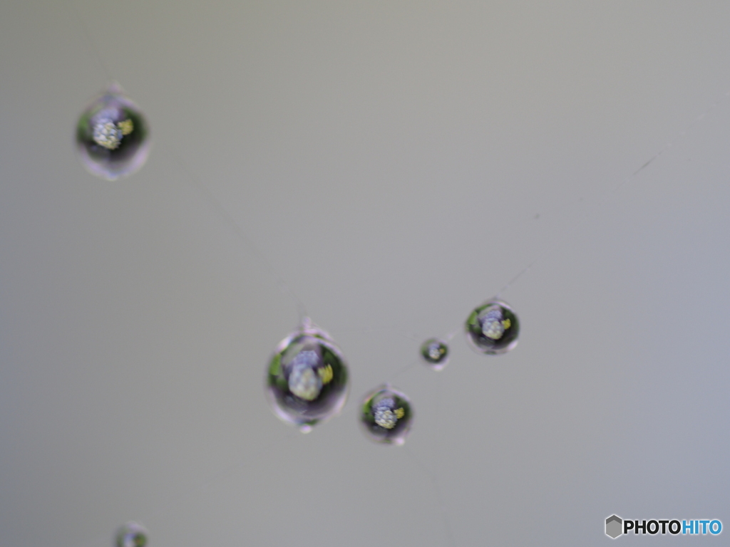 撮って出し-E-M5-0.0-23_06_23-6