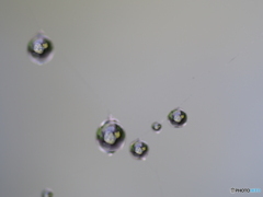 撮って出し-E-M5-0.0-23_06_23-6