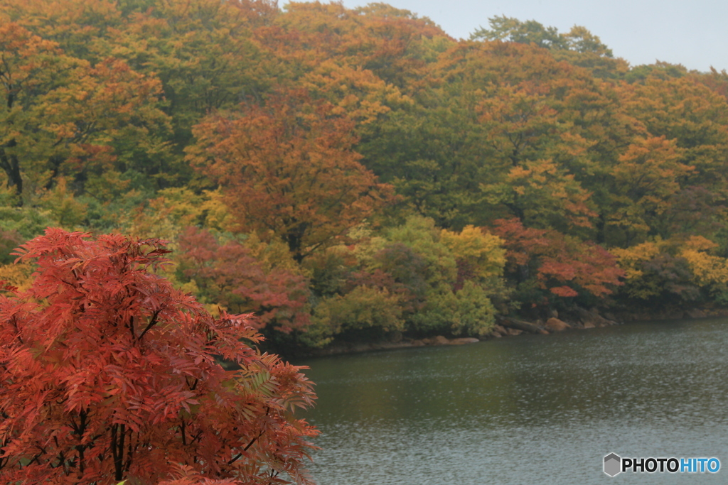 撮って出し-Canon EOS 6D-120.0-23_10_16_IMG_63