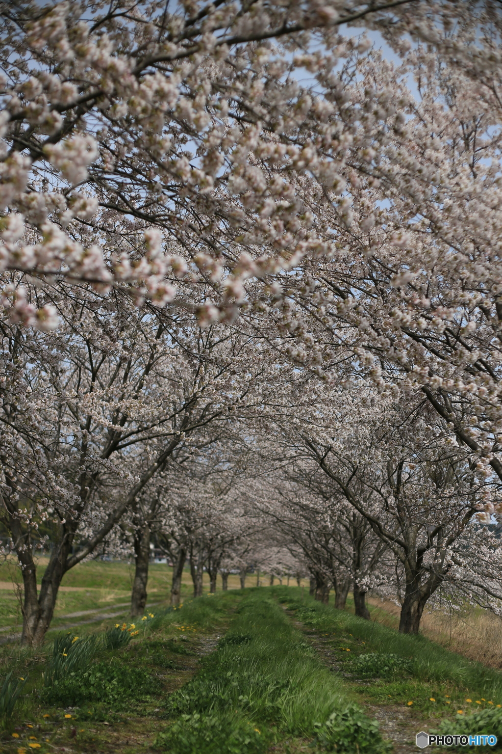 撮って出し-Canon EOS 6D-50.0-41_04_11-1