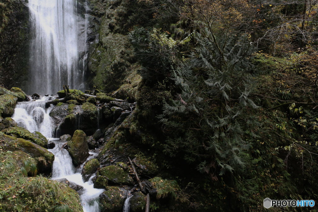 撮って出し(2025-11-07_13-07)-(Canon EOS 6D-24