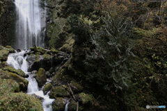 撮って出し(2025-11-07_13-07)-(Canon EOS 6D-24