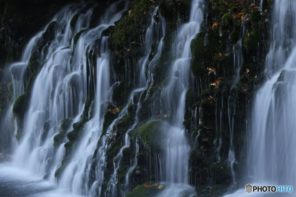 撮って出し(2025-11-04_07-14)-(Canon EOS 6D-80