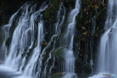 撮って出し(2025-11-04_07-14)-(Canon EOS 6D-80