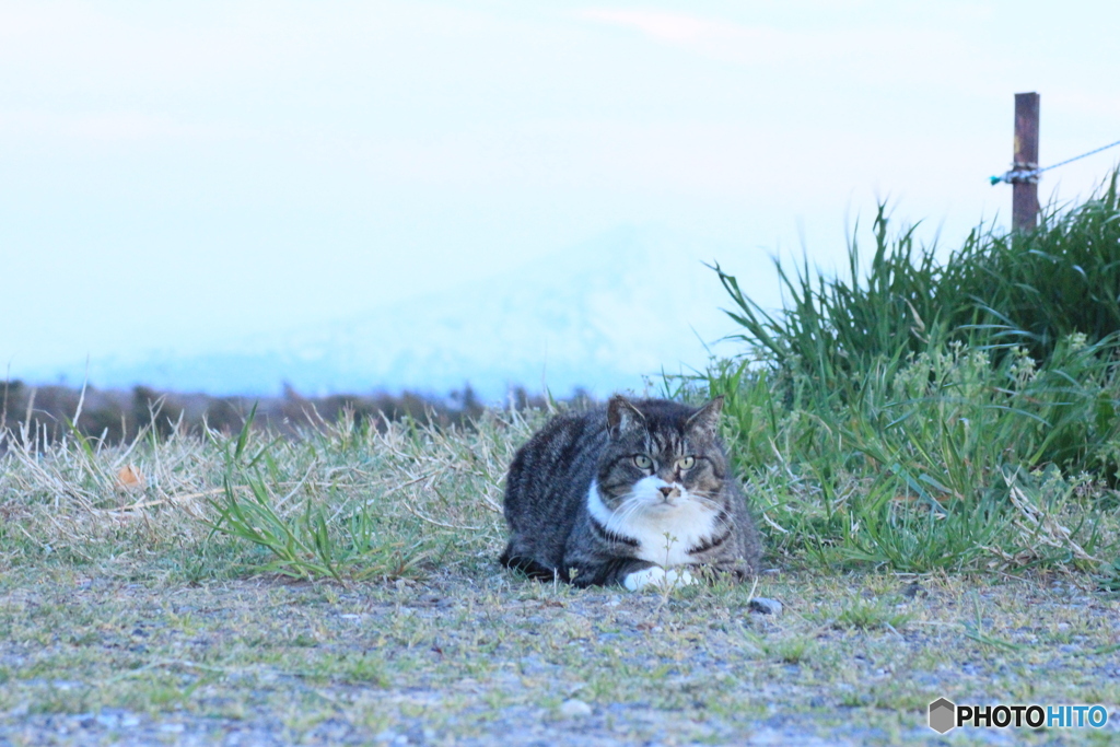 撮って出し(2024-04-23_18-22)-(Canon EOS 60D-9