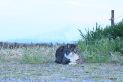撮って出し(2024-04-23_18-22)-(Canon EOS 60D-9