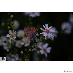 撮って出し(2023-10-13_16-44)-50--X-E1